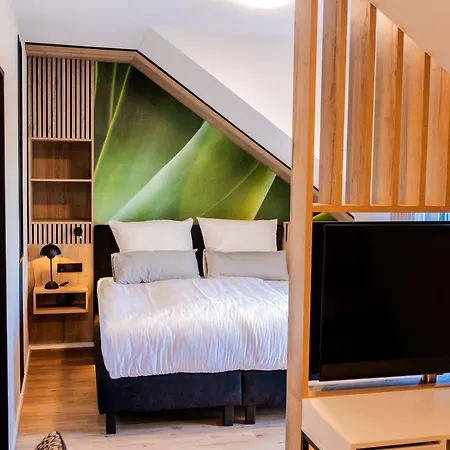 Boardinghouse Hense Lingen